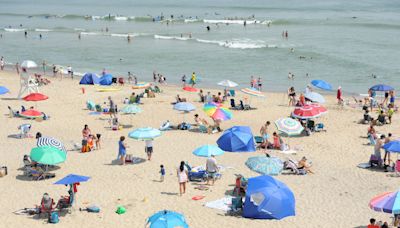 Popular Cape Cod beach re-opens for swimming after bacteria shut it down