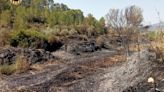 Prevención de Incendios vuelve de nuevo a Medio Ambiente