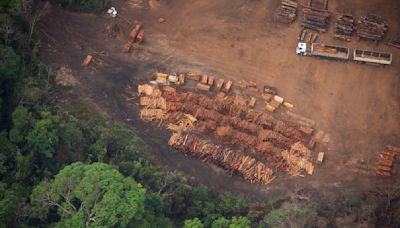 Brasil ampliará la tala selectiva en los próximos 2 años para combatir destrucción de la Amazonía