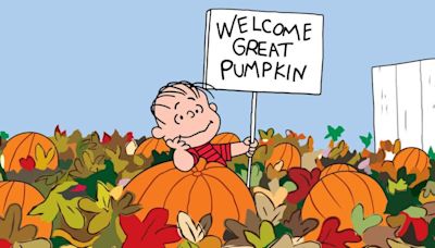 Welcome the Great Pumpkin With New Peanuts Funko Pops