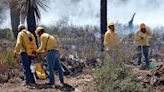 Incendio forestal consume 240 hectáreas de vegetación en Nuevo León