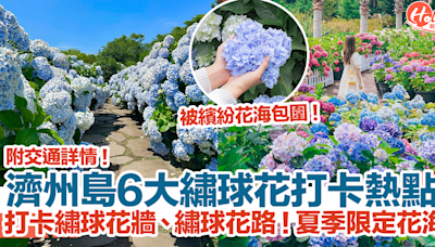 【濟州島繡球花2024】濟州島6大繡球花打卡熱點！打卡繡球花牆、繡球花路！夏季限定花海！ | HolidaySmart 假期日常