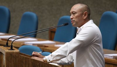 Arnie Teves extradition an 'answered prayer,' says Degamo widow