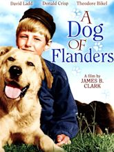 A Dog of Flanders Pictures - Rotten Tomatoes