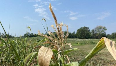 Justice issues state of emergency in connection with drought conditions - WV MetroNews