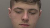 Teen burglar caught after 'complete stroke of luck'