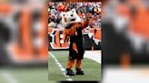 Bengals to bring ‘Friday Night Stripes’ to 2 Miami Valley high school football games this season