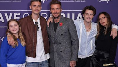 How the six members of the Beckham family make their money