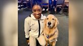 Beacon, el perro terapeuta que cuida de la salud mental de las gimnastas estadounidenses de los JJOO