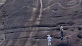 Los grabados de arte rupestre más grandes del mundo están en Sudamérica: qué significan