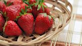 UW report says California strawberry yield could dip by 40 per cent