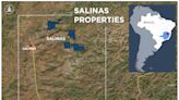 ...Enters Option Agreement to Acquire Up to 90% Interest in New Itinga Properties totaling 2,983 ha in the Lithium Valley, Minas Gerais, Brazil