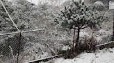 Recomendaciones para ir al Nevado de Toluca, La Marquesa y el Ajusco