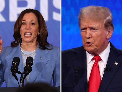 Donald Trump gets bad news about Kamala Harris