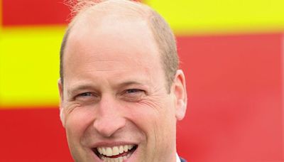 Stunning New Royal Photo Shows a Stoic, Solo Prince William and His Striking Profile