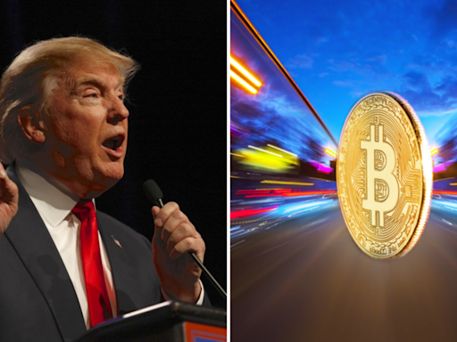 Economists Skeptical About Trump's Bitcoin Stockpile Plan: A Game-Changer Or A Mere Election Gimmick?