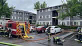 Boise firefighters rescue dog from apartment complex fire, no one hurt
