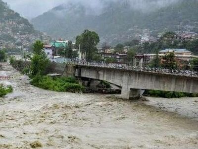 Assam floods: 114 animals die in Kaziranga National Park, 95 rescued