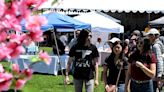 Monterey Park’s 24th annual Cherry Blossom Festival draws crowds