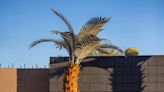 Costco's Selling a Ginormous Palm Tree Sculpture—Would You Put This by Your Pool?
