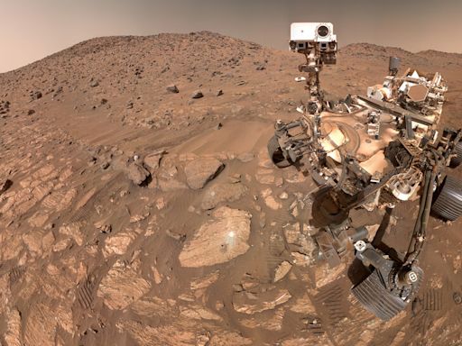 NASA Did Not Say It Found Life on Mars. But It’s Very Excited About This Rock.