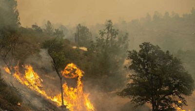 What does it really mean when a wildfire is ‘contained’ or ‘controlled’? Key terms explained