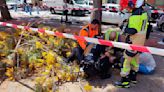 Herida de gravedad tras caerle encima la rama de un árbol en Málaga