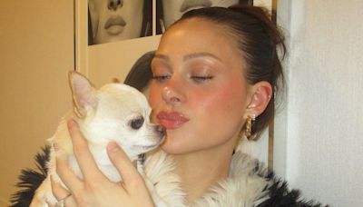 Nicola Peltz to sue dog groomer over chihuahua death