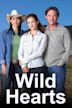 Wild Hearts (film)