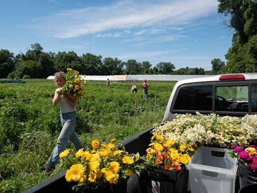 How the Shock of Catastrophic Floods Is Changing Farming in Vermont