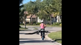 Ciclista se detiene en seco al encontrarse con un enorme caimán en un vecindario de Florida
