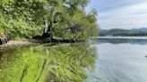 Funds raised for Windermere water quality improvement scheme