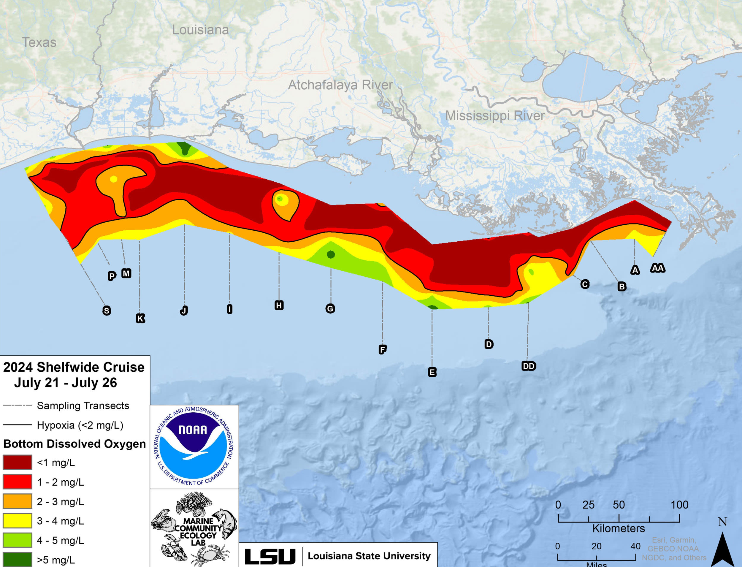 Map reveals fish-killing "dead zone" size of New Jersey in Gulf of Mexico