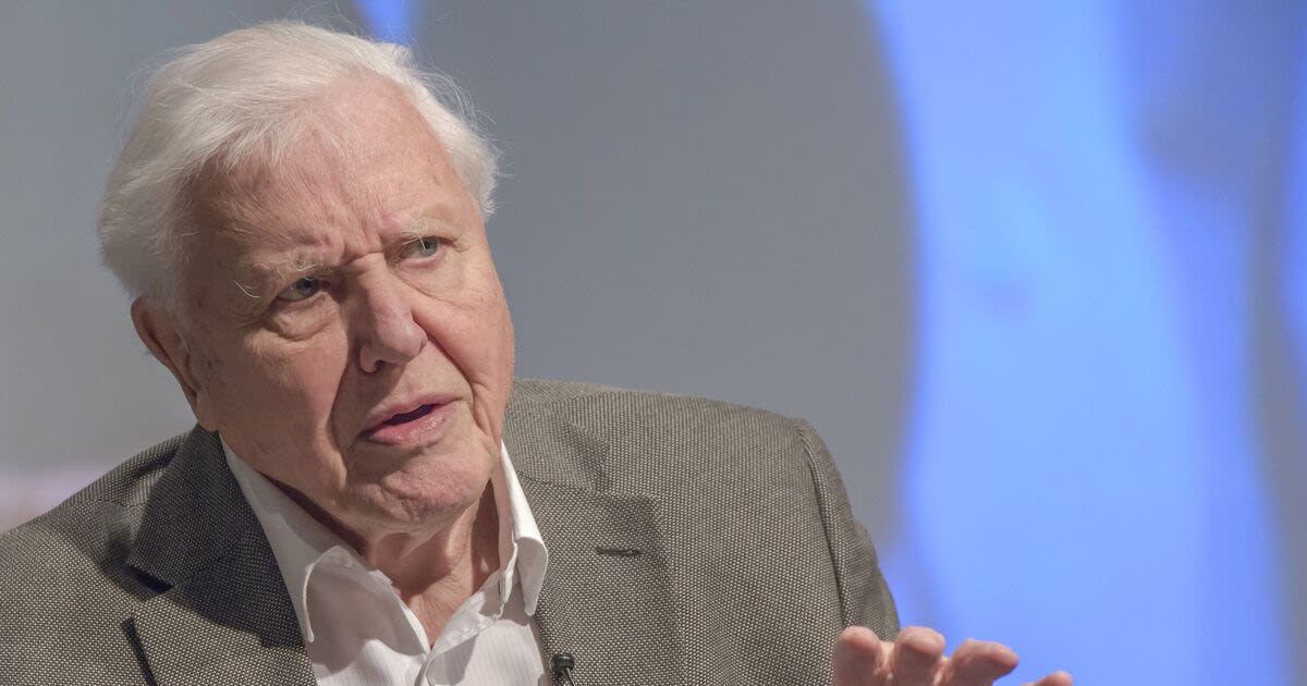 David Attenborough gives two-word warning as BBC star asks for life advice
