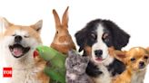 The ideal pet for each Zodiac Sign: Finding your cosmic companion - Times of India
