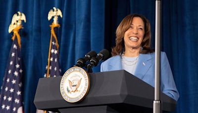 If not Joe Biden, then who? For US voters Kamala Harris is the top choice, experts warn she may battle scrutiny