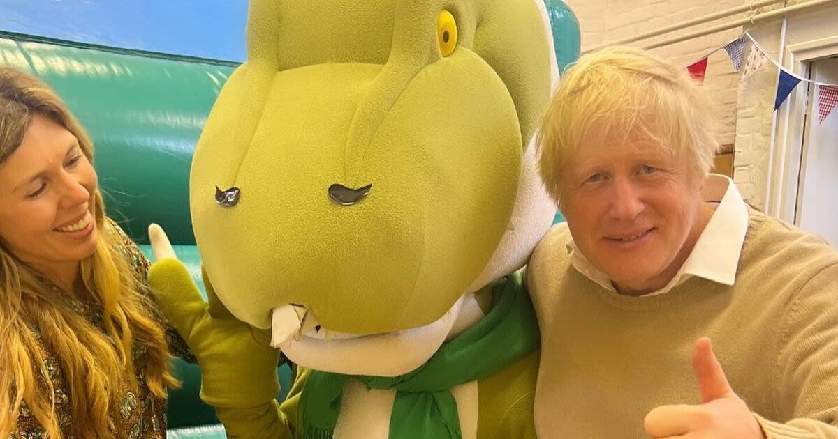 Tory voters plead Boris Johnson 'come back' after son's birthday pictures shared