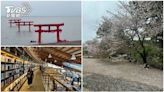 網美圖書館、三大稻荷神社都在這 日本佐賀7大景點一次看