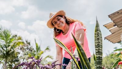 Kill weeds with 49p supermarket item that also 'fertilises plants'