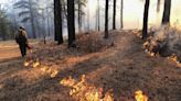 As US Forest Service prescribes more fire, rangers work to convince skeptical New Mexicans