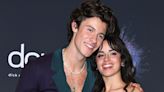 Some Fans Think Camila Cabello & Shawn Mendes Will Hit The Met Gala Together