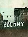 The Colony