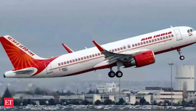 Air India passenger arrested at Delhi Airport after refusing in-flight food during 5-hour flight - The Economic Times