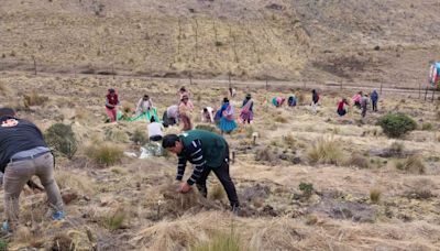 Incendios forestales: capacitan a comunidades de Abancay para evitar quema de rastrojos