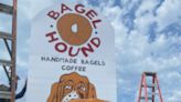 Basset hound Theo is mascot for Cape Cod's most popular bagel place. Here's the full list.