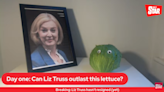 Daily Star running live stream that asks: 'Can Liz Truss outlast this lettuce?'