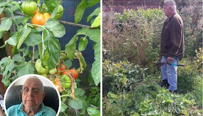 Pensioner ‘heartbroken’ after receiving allotment eviction notice