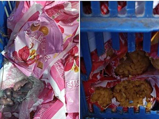 Siddhivinayak Temple Trust Launches Probe After Viral Video Shows Mice on Prasad Packets - News18