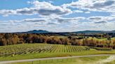 Gorgeous American winegrowing region tipped as new vineyard hotspot