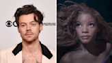 Harry Styles Turned Down ‘The Little Mermaid’ for Darker Films and Non-Musicals, Says Director: ‘We Met Him. He Was Lovely’